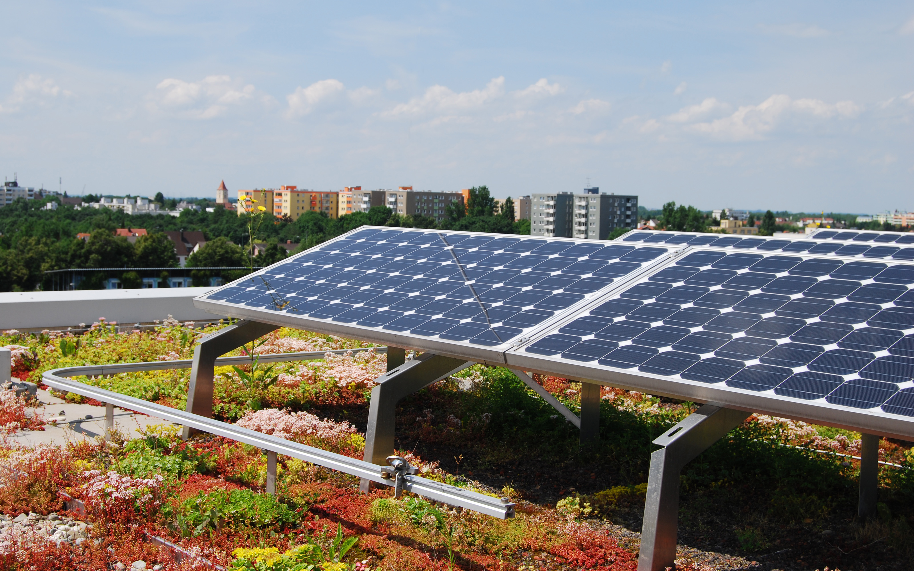 Sedum roof and photovoltaics